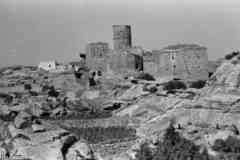 ���� ������ ��� ��� ����