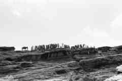 ���� ������ ��� ��� ����