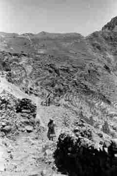 ���� ������ ��� ��� ����