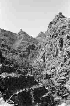 ���� ������ ��� ��� ����