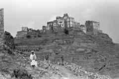 ���� ������ ��� ��� ����