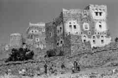 ���� ������ ��� ��� ����