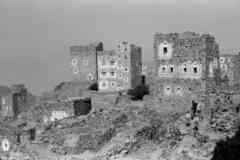 ���� ������ ��� ��� ����