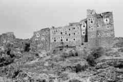 ���� ������ ��� ��� ����