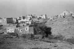 ���� ������ ��� ��� ����