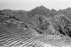 ���� ������ ��� ��� ����