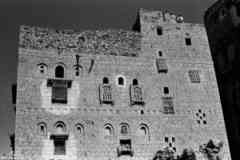 ���� ������ ��� ��� ����