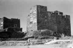 ���� ������ ��� ��� ����