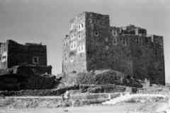 ���� ������ ��� ��� ����