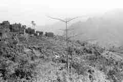 ���� ������ ��� ��� ����