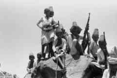 ���� ������ ��� ��� ����