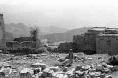 ���� ������ ��� ��� ����