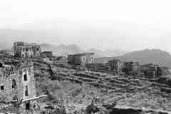 ���� ������ ��� ��� ����