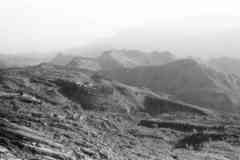 ���� ������ ��� ��� ����