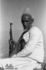 ���� ������ ��� ��� ����