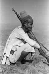 ���� ������ ��� ��� ����