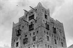 ���� ������ ��� ��� ����