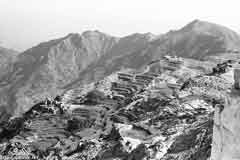 ���� ������ ��� ��� ����