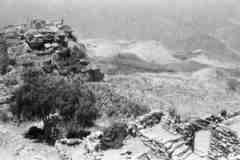 ���� ������ ��� ��� ����