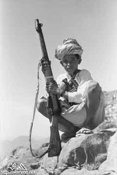 ���� ������ ��� ��� ����