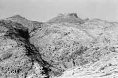 ���� ������ ��� ��� ����