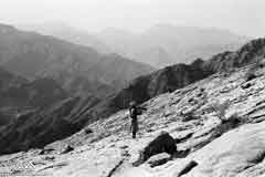 ���� ������ ��� ��� ����