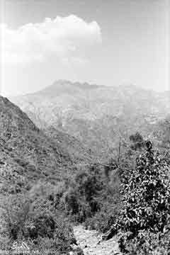 ���� ������ ��� ��� ����