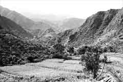 ���� ������ ��� ��� ����