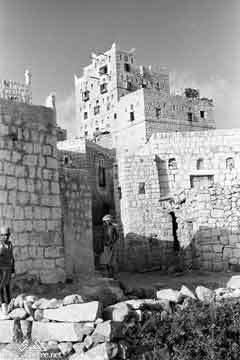 ���� ������ ��� ��� ����