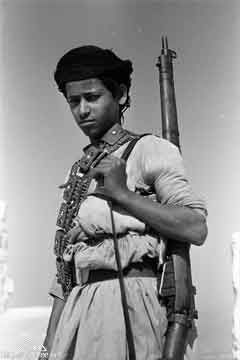 ���� ������ ��� ��� ����