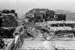 ���� ������ ��� ��� ����