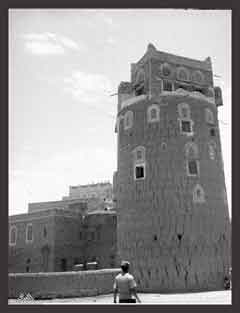 ���� ������ ��� ��� ����