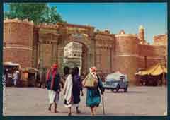 ���� ������ ��� ��� ����