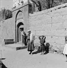 ���� ������ ��� ��� ����