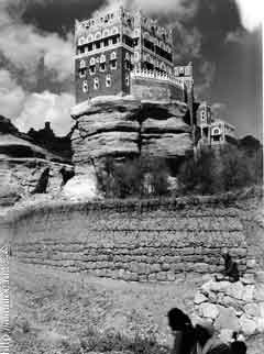 ���� ������ ��� ��� ����