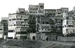 ���� ������ ��� ��� ����