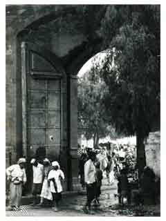 ���� ������ ��� ��� ����