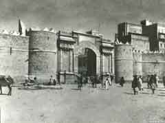 ���� ������ ��� ��� ����