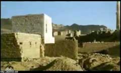 ���� ������ ��� ��� ����