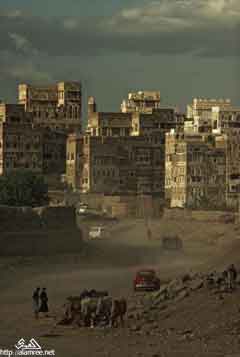 ���� ������ ��� ��� ����