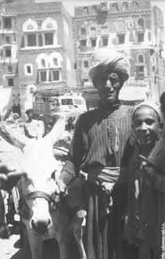 ���� ������ ��� ��� ����