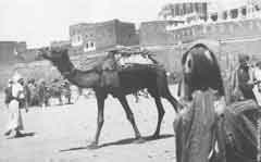 ���� ������ ��� ��� ����