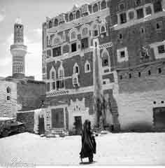 ���� ������ ��� ��� ����