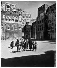 ���� ������ ��� ��� ����