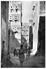 ���� ������ ��� ��� ����