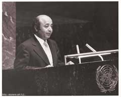 ���� ������ ��� ��� ����