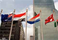 ���� ������ ��� ��� ����