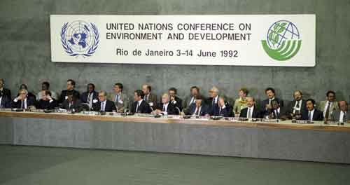 ���� ������ ��� ��� ����