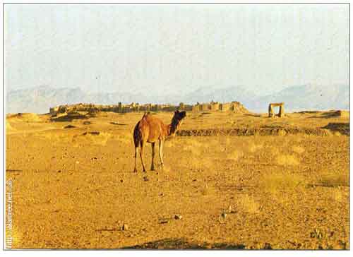 ���� ������ ��� ��� ����