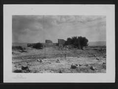 ���� ������ ��� ��� ����